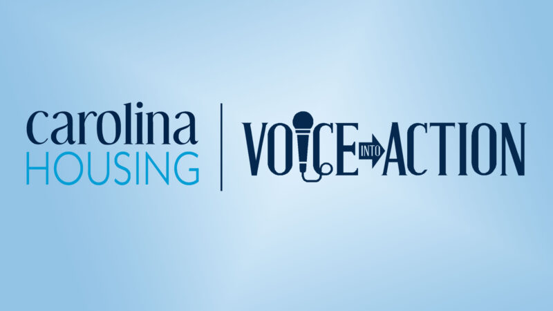 Voice Into Action Logo