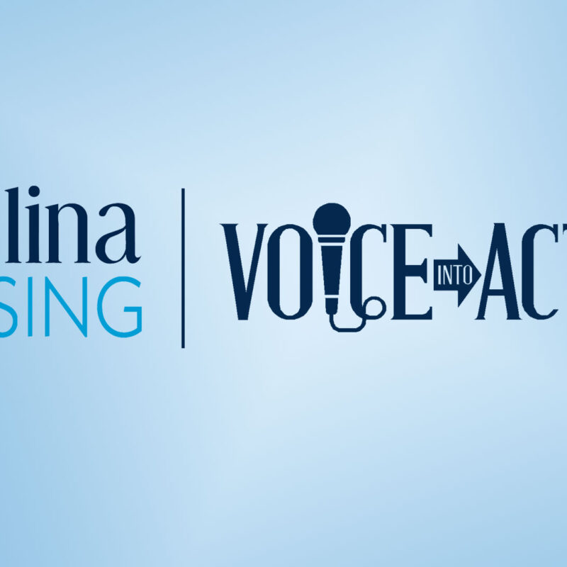 Voice Into Action Logo