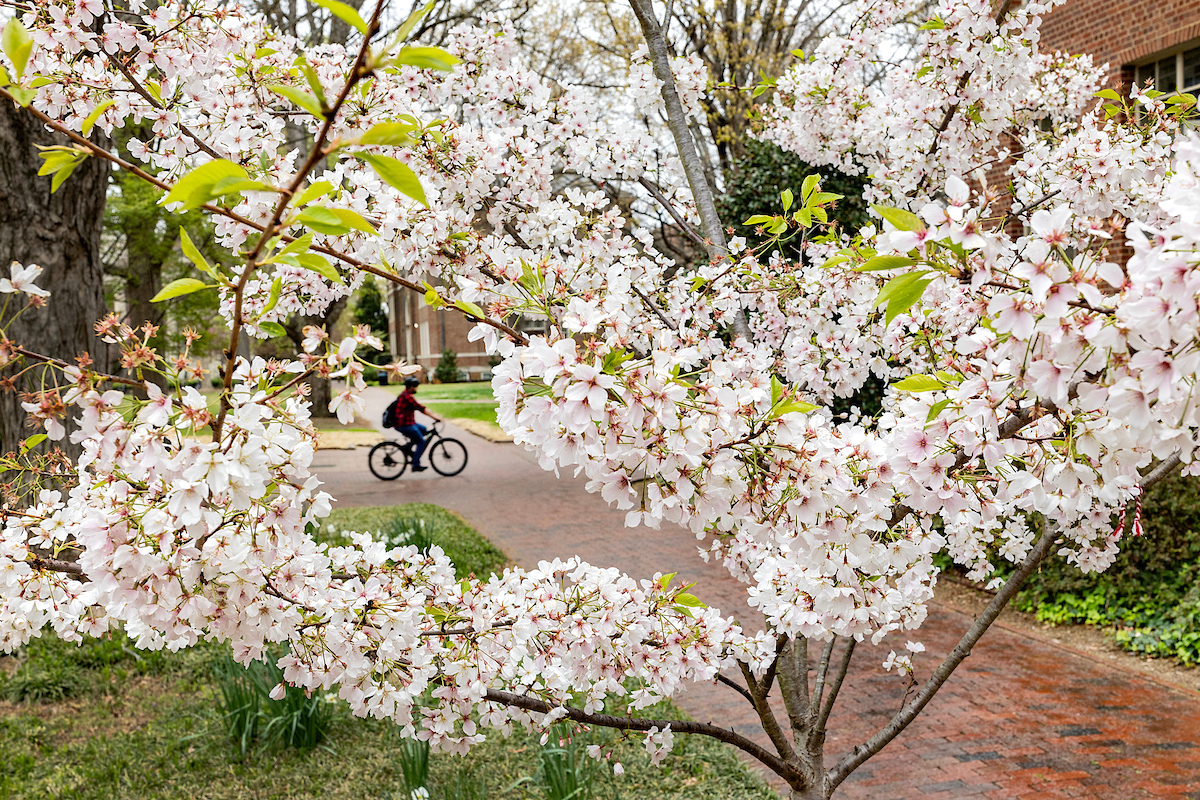 Happy Valentines Day: What We Love About On-Campus Life! - UNC Housing